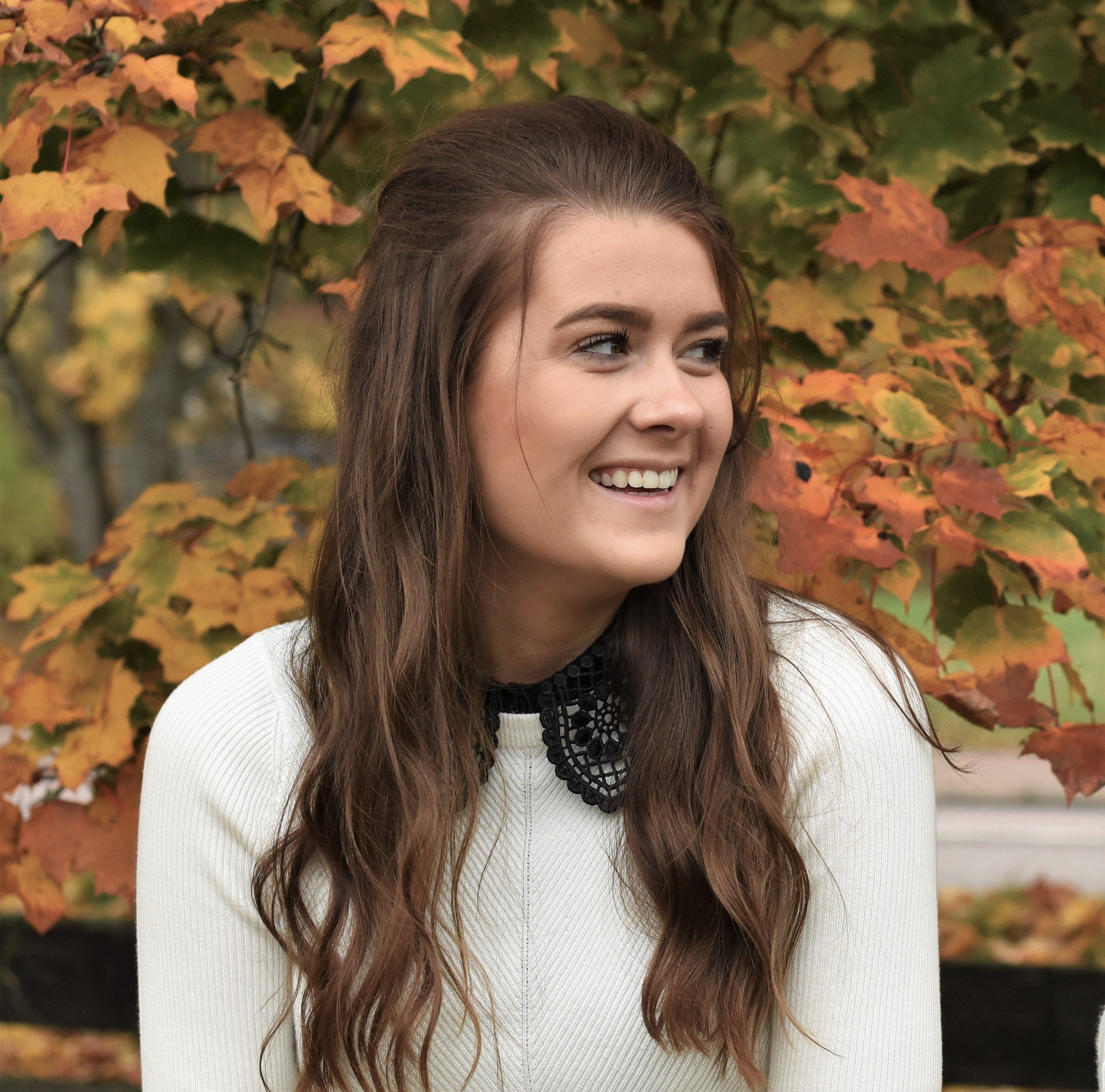 Krage Broderad spets svart