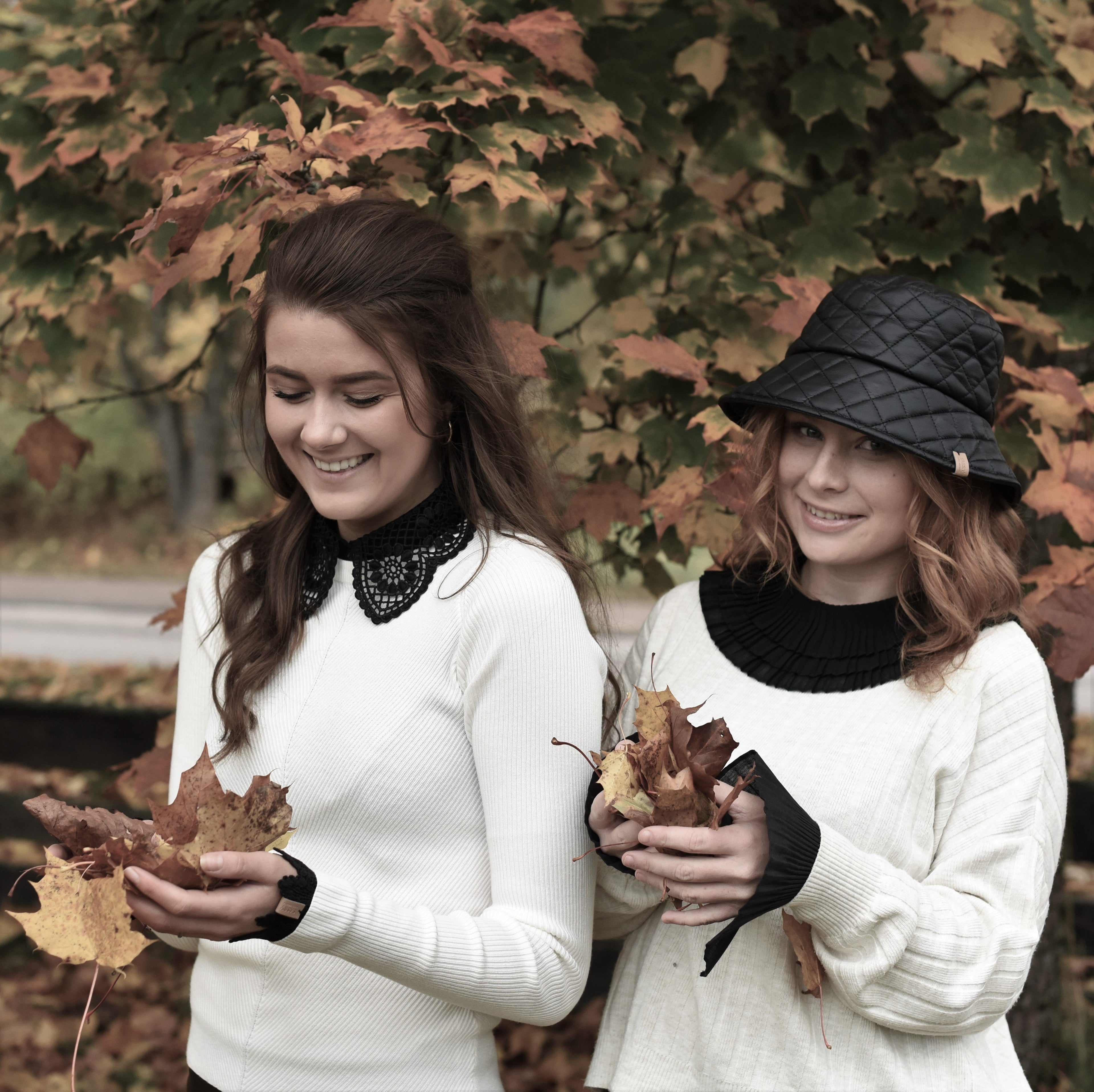 Krage Broderad spets svart